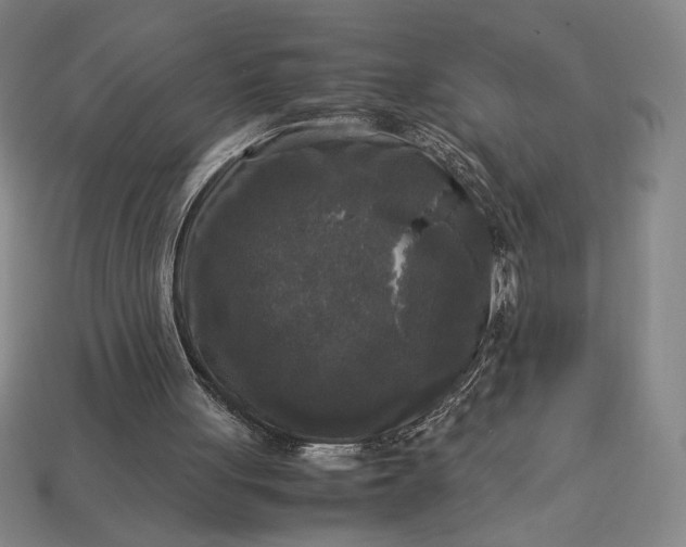 X0000113140051200909181738