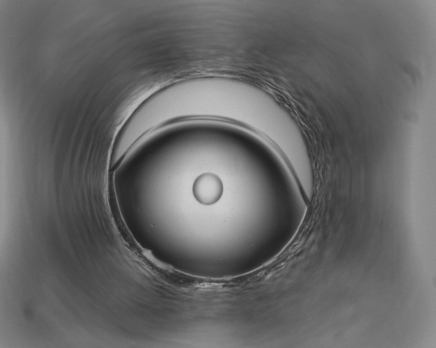 X0000113140052200909181738