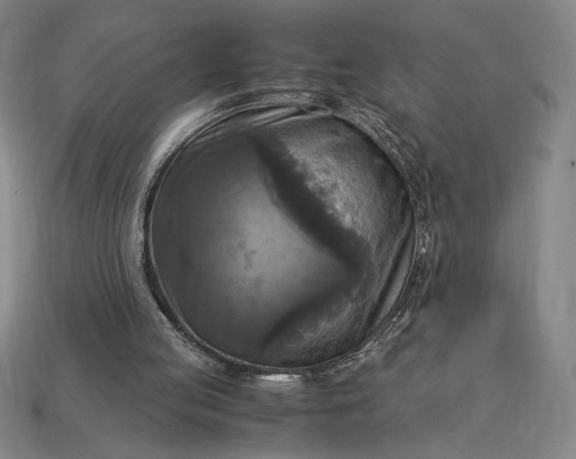 X0000113140053200909181738