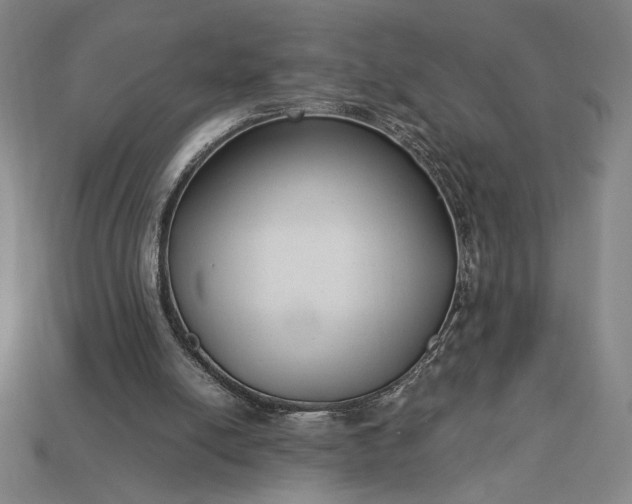 X0000113140054200909181738