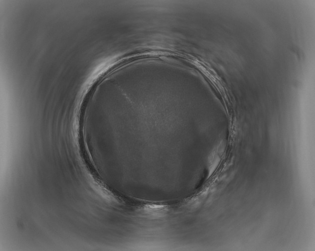 X0000113140055200909181738