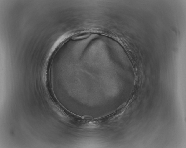 X0000113140056200909181738