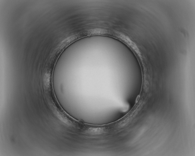 X0000113140057200909181738