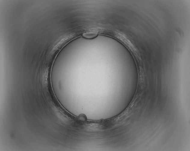 X0000113140058200909181738