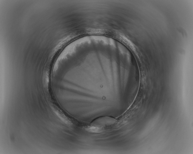 X0000113140059200909181738