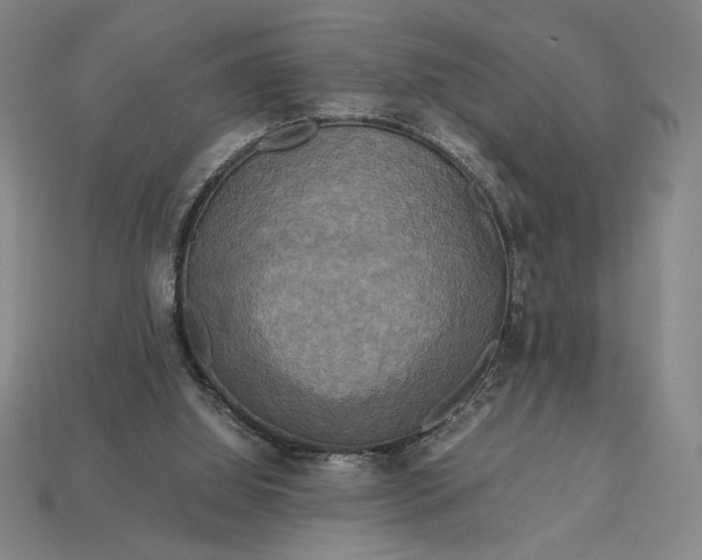 X0000113140060200909181738