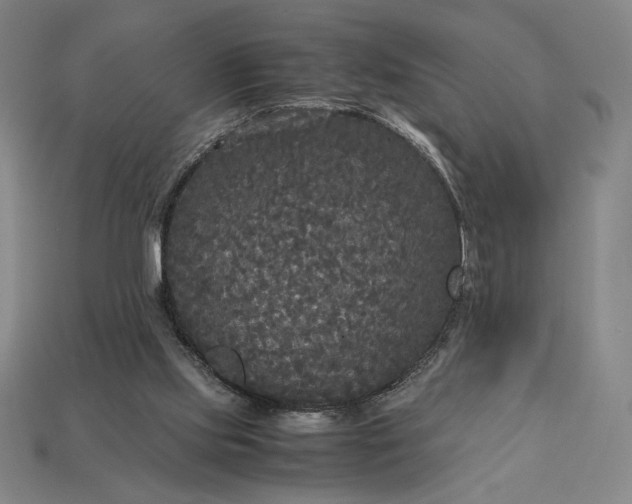 X0000113140061200909181738