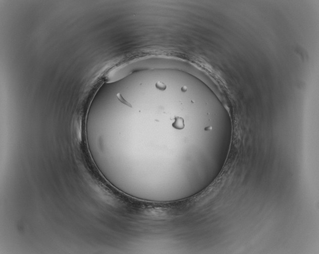 X0000113140062200909181738