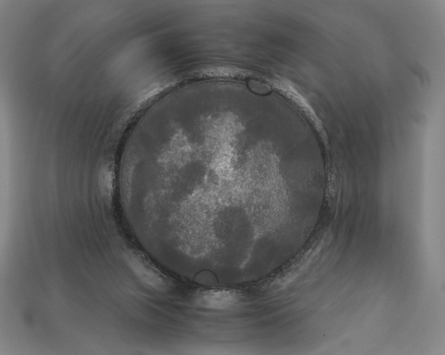 X0000113140063200909181738