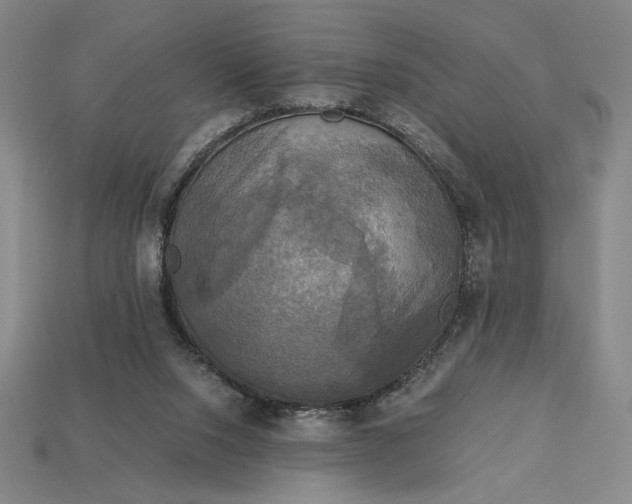 X0000113140064200909181738