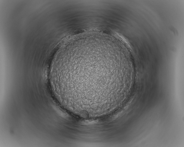 X0000113140065200909181738