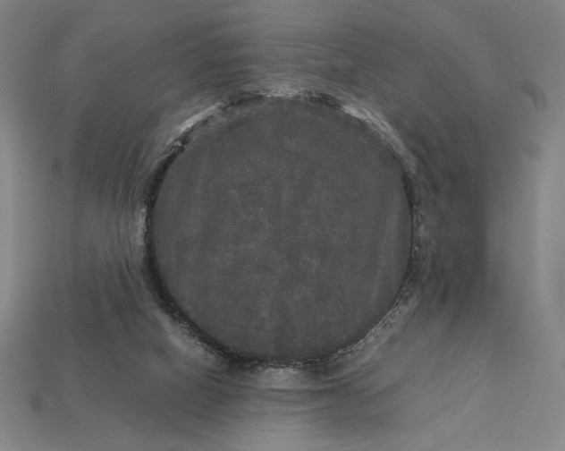 X0000113140066200909181738