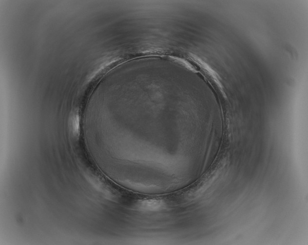 X0000113140067200909181738