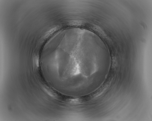 X0000113140068200909181738