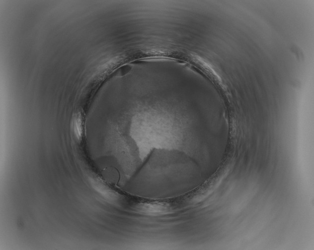 X0000113140069200909181738