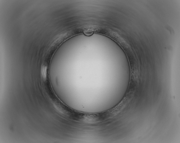 X0000113140070200909181738