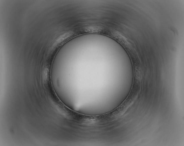 X0000113140071200909181738