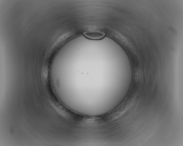 X0000113140072200909181738