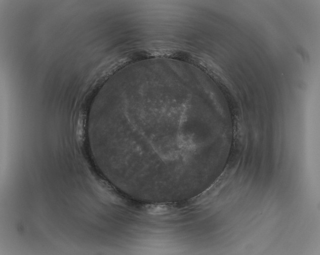 X0000113140074200909181738