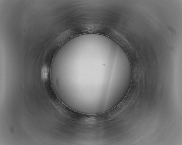 X0000113140075200909181738