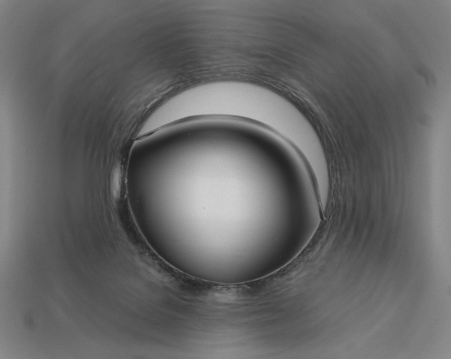 X0000113140076200909181738