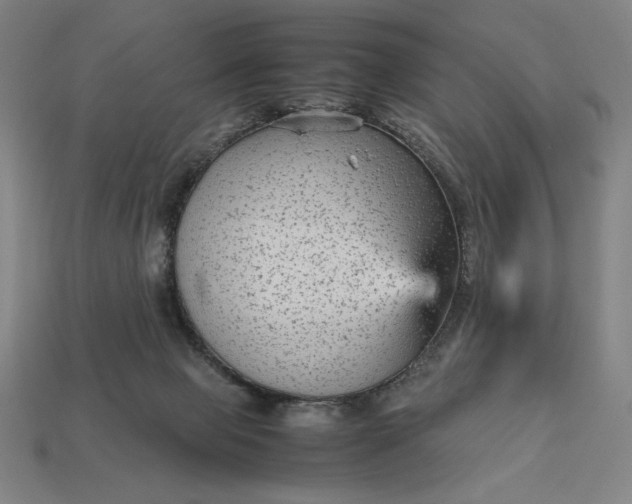 X0000113140077200909181738