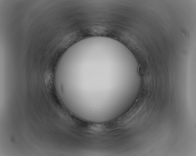 X0000113140079200909181738