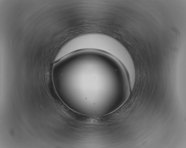 X0000113140080200909181738