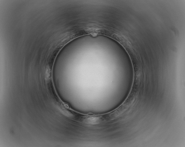 X0000113140081200909181738