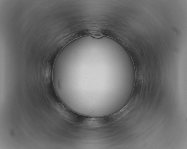 X0000113140082200909181738