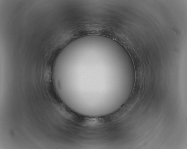 X0000113140083200909181739