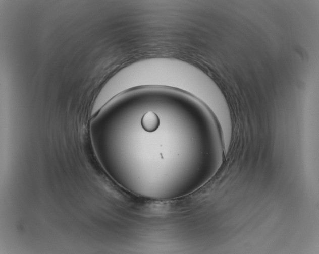 X0000113140084200909181739