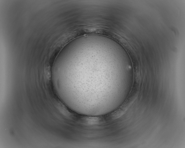 X0000113140085200909181739