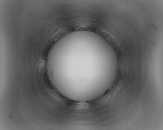 X0000113140087200909181739