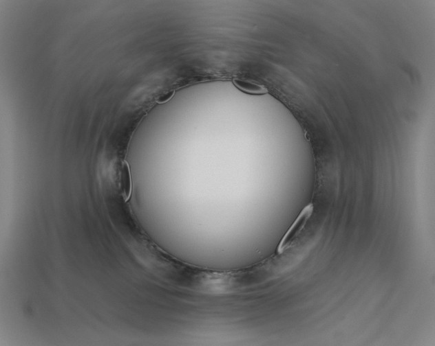 X0000113140088200909181739