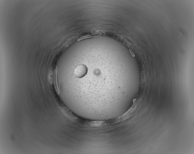 X0000113140090200909181739