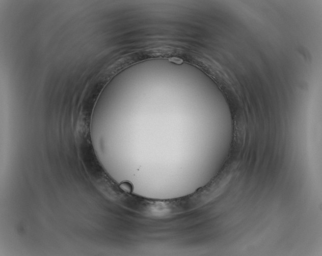 X0000113140091200909181739