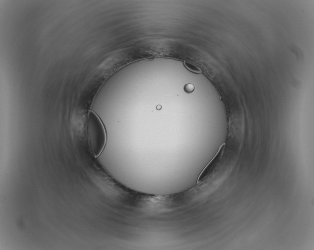 X0000113140092200909181739