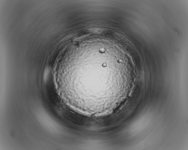 X0000113140095200909181739