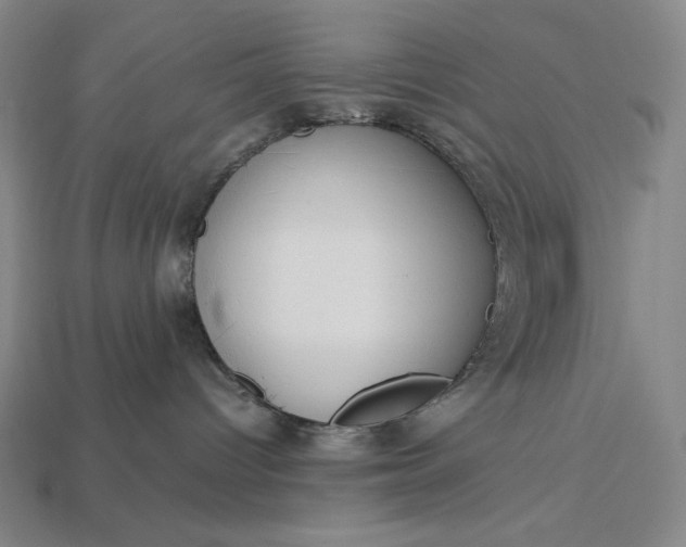 X0000113140096200909181739