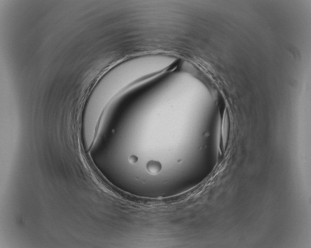 X0000113140097200909181738