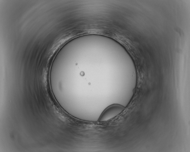 X0000113140098200909181738