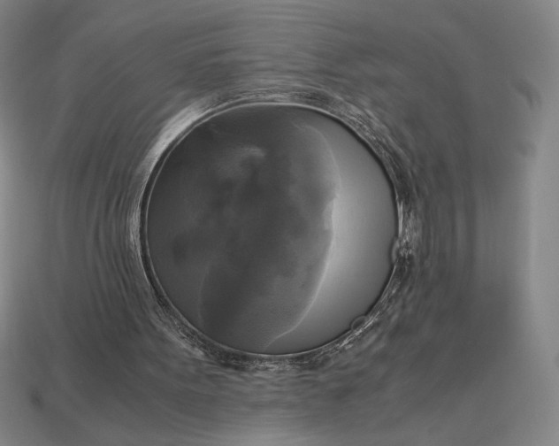 X0000113140099200909181738