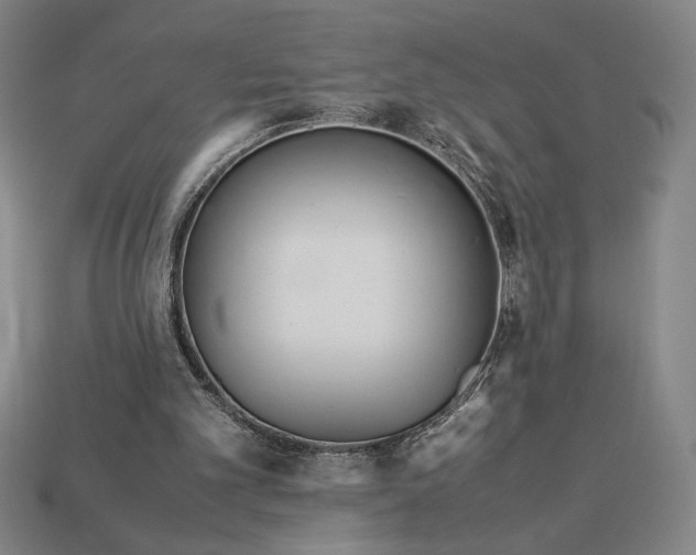 X0000113140101200909181738