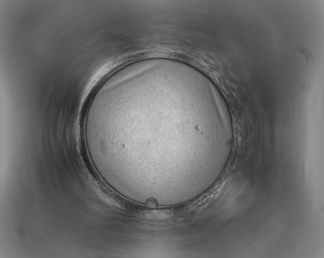 X0000113140102200909181738