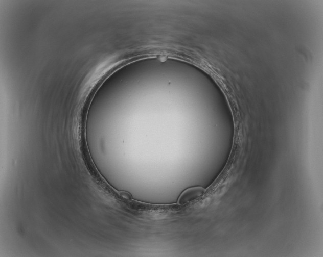 X0000113140103200909181738