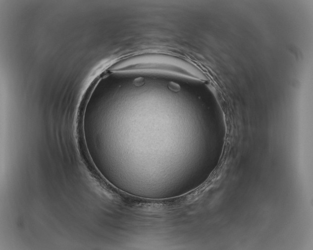 X0000113140104200909181738