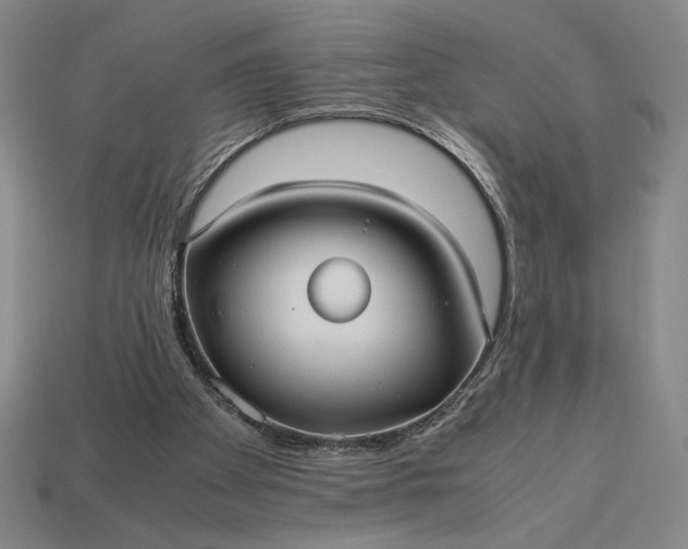 X0000113140105200909181738