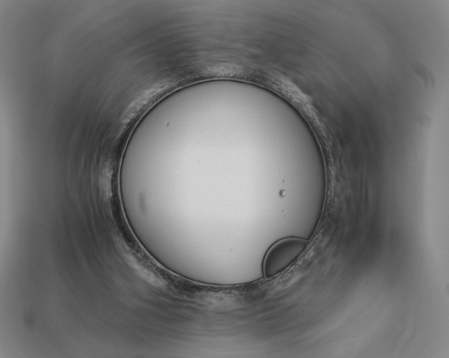 X0000113140106200909181738