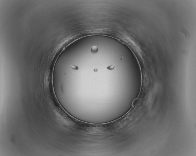 X0000113140107200909181738